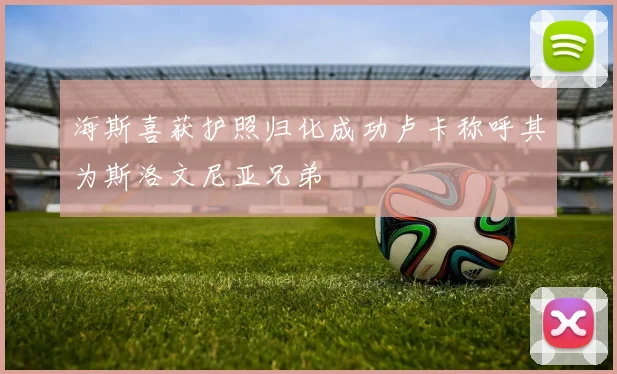 海斯喜获护照归化成功卢卡称呼其为斯洛文尼亚兄弟